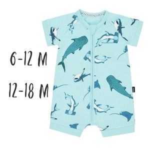 Shark Bay Aqua Shorts Romper bonds Wondersuit